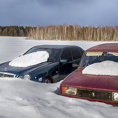 фото "Первые подснежники"