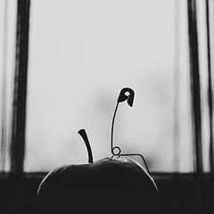 photo "***"