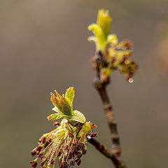 photo "Гуляя по району"