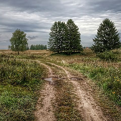 фото "После дождя."