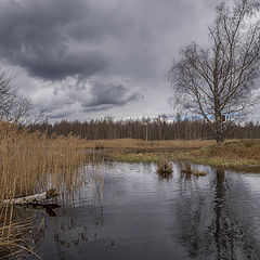 фото "Засидка"