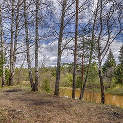 фото "Высокий берег"