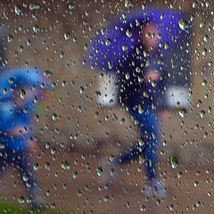 фото "Под дождём."