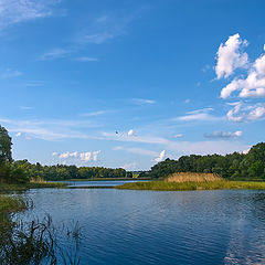 фото "островок"