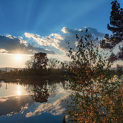 фото "Вечерние лучи"