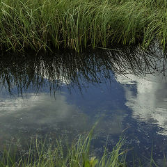 photo "Summer tarn"