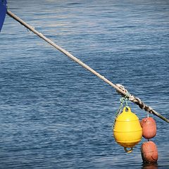 photo "in calm waters"