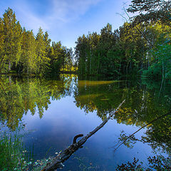 фото "Лесное озеро"