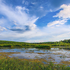 фото "Прекрасна летняя пора"