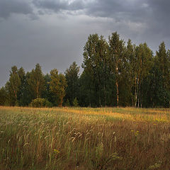 фото "Перед грозой"