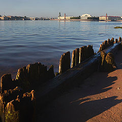 фото "Невский берег"