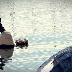 photo "cormorant"