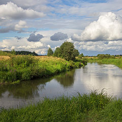 фото "Шерна"