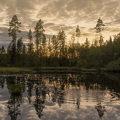 photo "Вечернее"