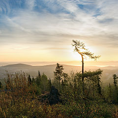 фото "Утренняя панорама"