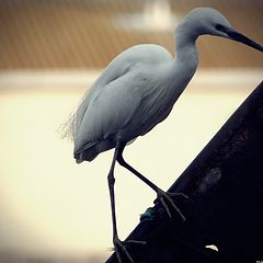 photo "meeting in the port"