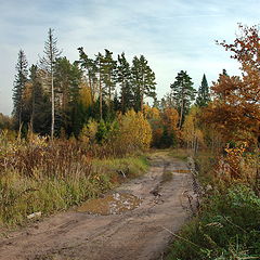 фото "Палитра осени..."