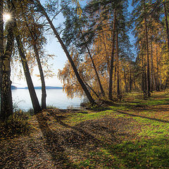 фото "Осенний берег"