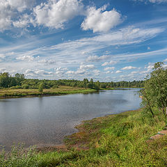 фото "Сить"