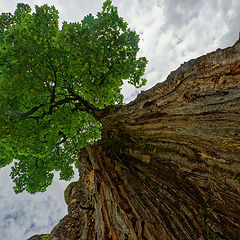 photo "Erinnerungen - Großer Ahornboden"