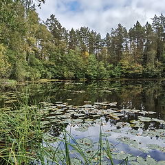 photo "Kurtna lakes. LINAJARV"