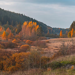 photo "Где то в Карелии."