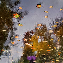 фото "Призрачная и дождливая осень..."