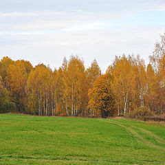 фото "Теплая осень"