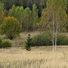 фото "Неба кусочек"