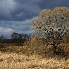 фото "Осенний день"