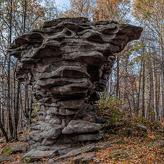 фото "Лесное чудище"