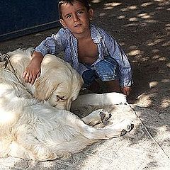photo "chıld and dog...."