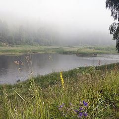 фото "Утро"