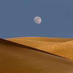 photo "Once in a desert"