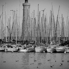 photo "in the port"