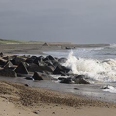 photo "The coast"