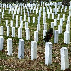 photo "Arlington National Cemetery"