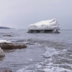 фото "Так замерзает залив. Вода ушла. Декабрь2021"