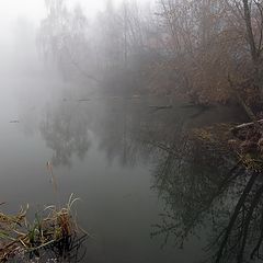 фото "Настоящий туман (7)"