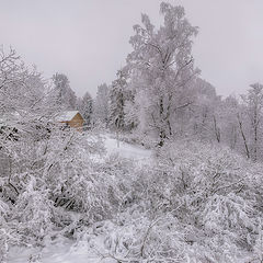 фото "Домик на холме"