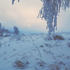 фото "Мороз и дымка"