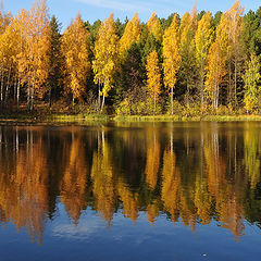 фото "Вспомним осень"