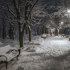 фото "После ночного снегопада"