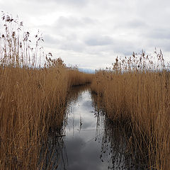 photo "The canal"