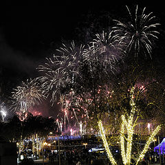 photo "New Year Eve in Madeira"