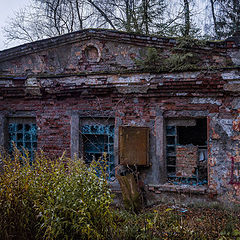 фото "Очень поздняя осень"