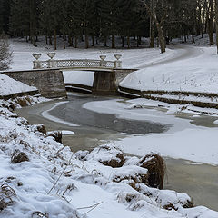 фото "Зима в парке. Павловск"