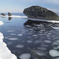 фото "Полдень"