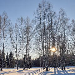 фото "Весенний хоровод"