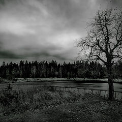 фото "Депрессия"